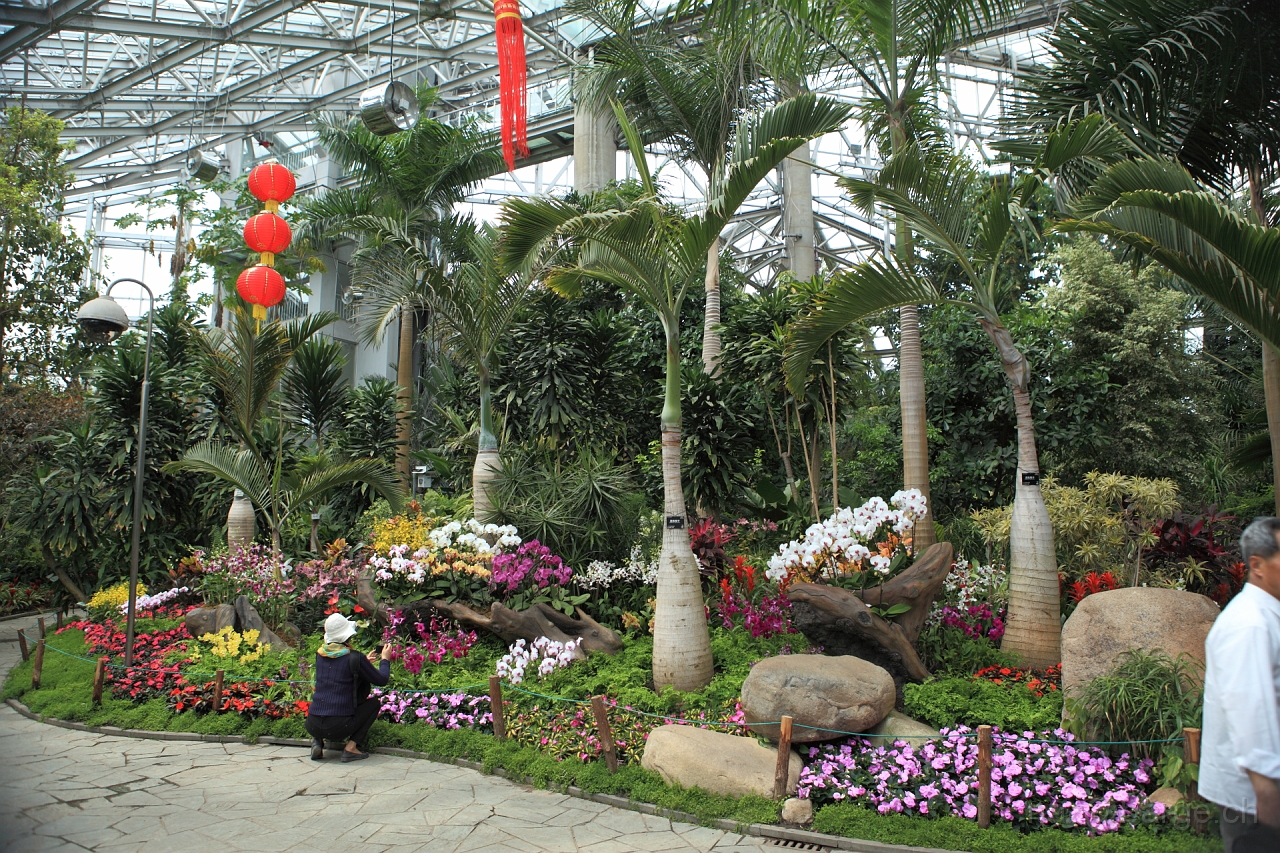 EOS 5D Mark II16_04_20134963.JPG